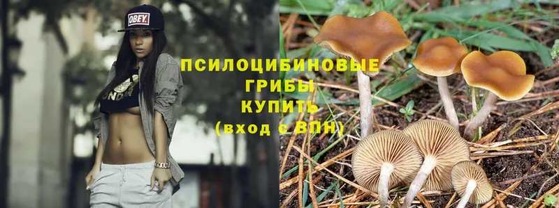 Псилоцибиновые грибы Magic Shrooms  как найти наркотики  Белёв 